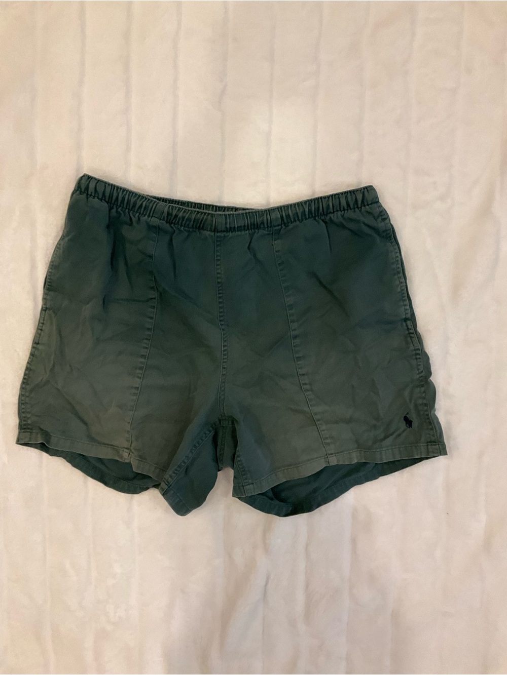 Polo by Ralph Lauren Green Cotton Shorts with Lavender Drawstring